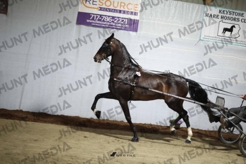 JHM_1674