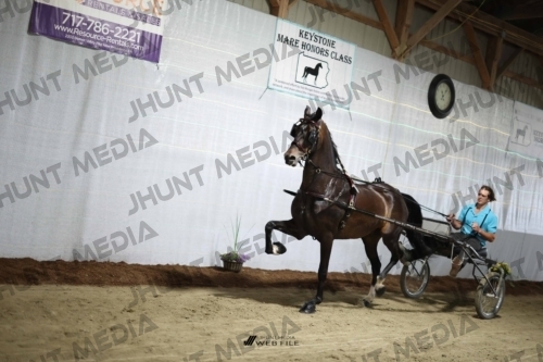 JHM_1678