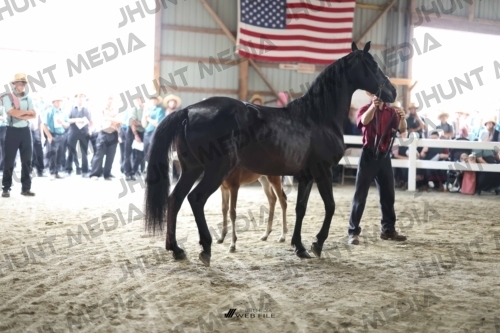 JHM_1555