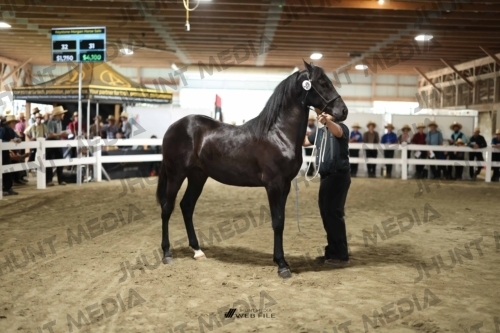 JHM_1562