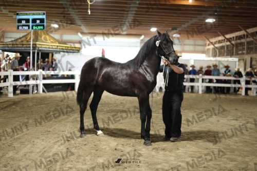 JHM_1563