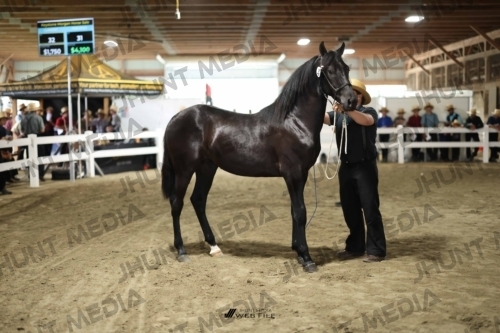 JHM_1564