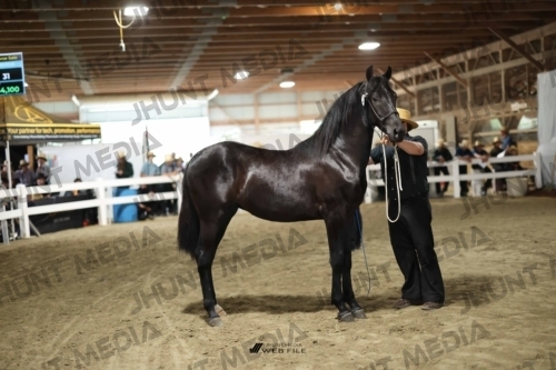 JHM_1566