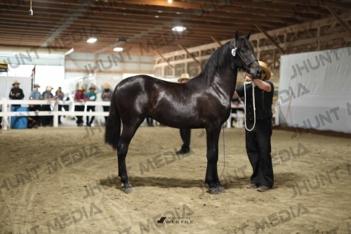 JHM_1567
