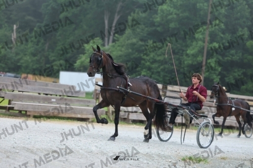 JHM_0398