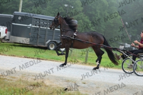JHM_0422