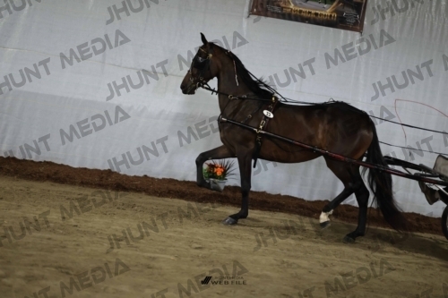 JHM_1575