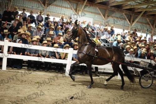 JHM_1576