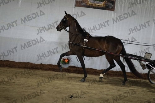 JHM_1579
