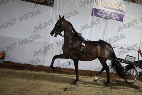 JHM_1582