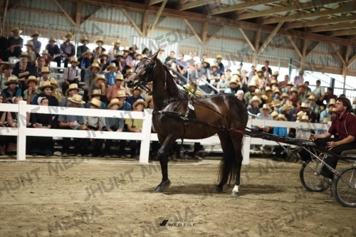 JHM_1587