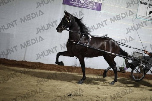 JHM_1591