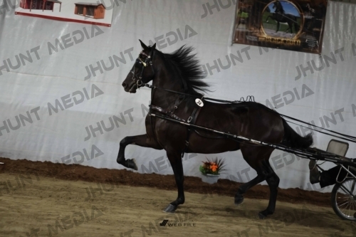 JHM_1595