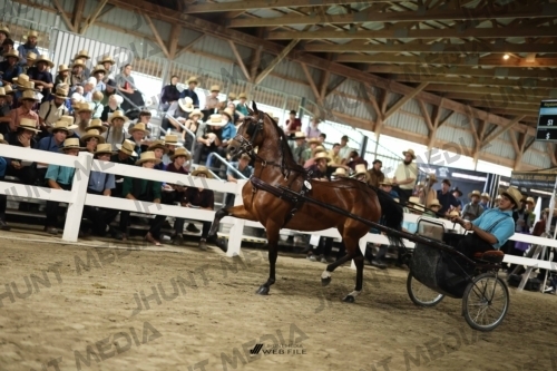 JHM_1831