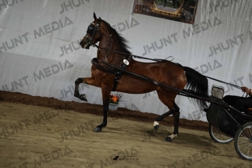 JHM_1836