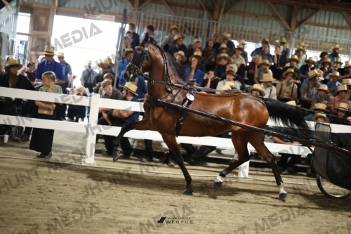 JHM_1837