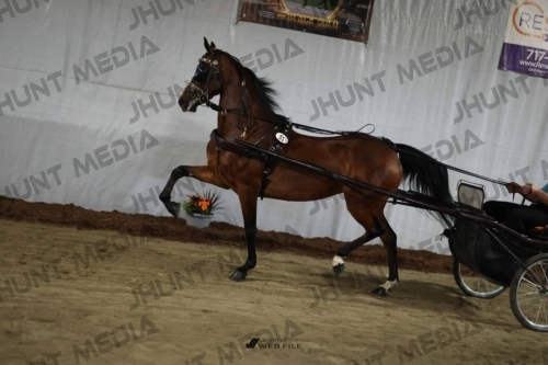 JHM_1839