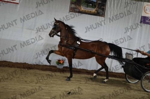 JHM_1852
