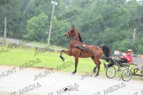 JHM_0781