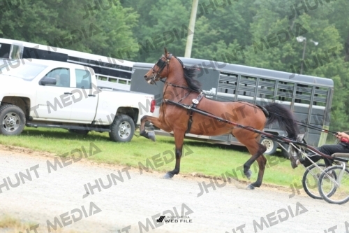 JHM_0783