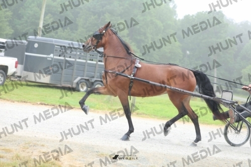 JHM_0593