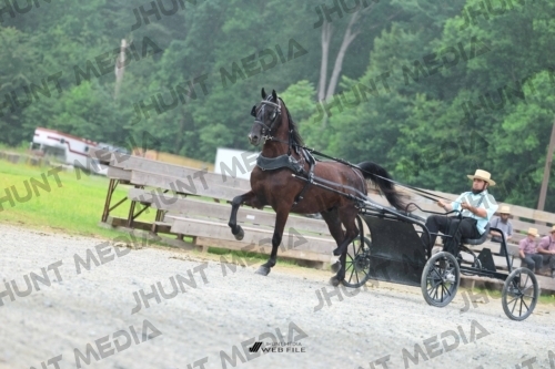 JHM_0828