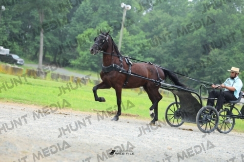 JHM_0847