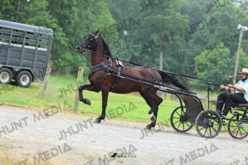 JHM_0848