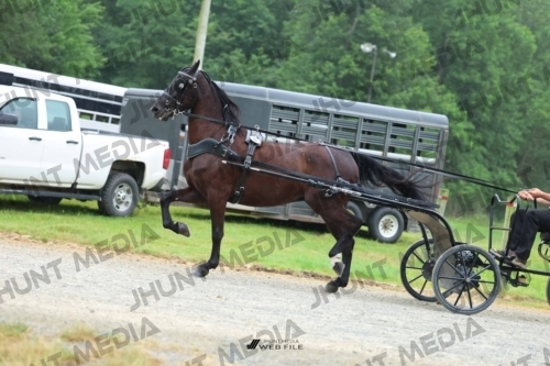 JHM_0849