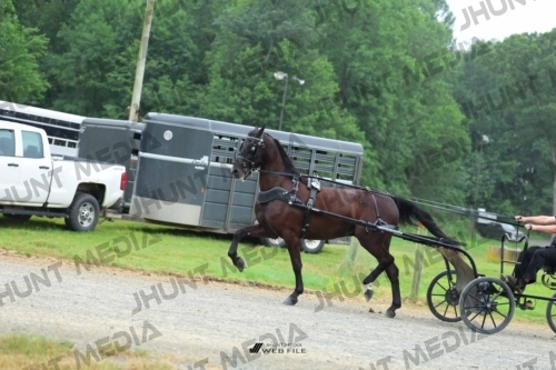 JHM_0858