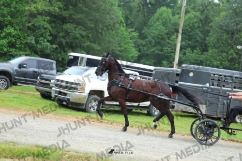 JHM_0859