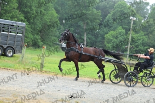 JHM_0871