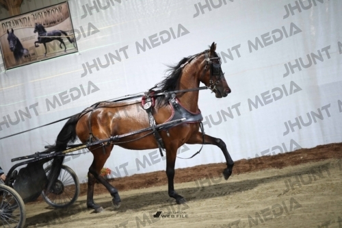 JHM_1923