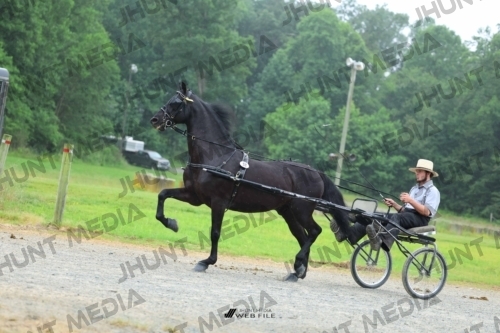 JHM_0867