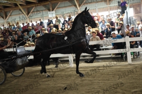 JHM_1973