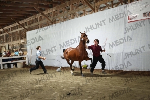 JHM_2009