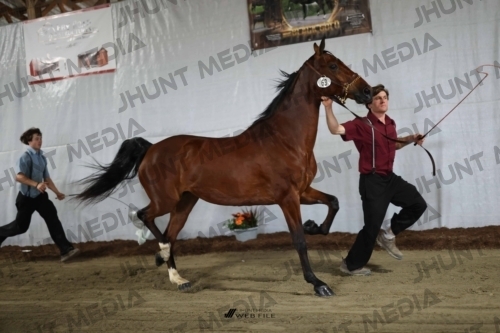 JHM_2011