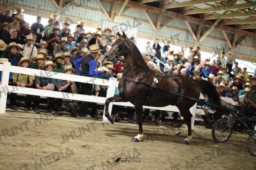 JHM_2012