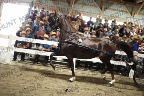 JHM_2013