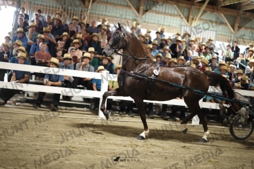 JHM_2015