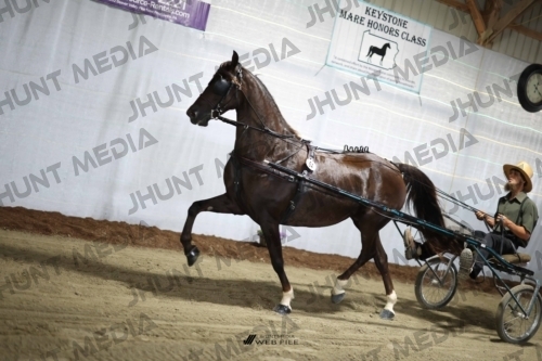 JHM_2018