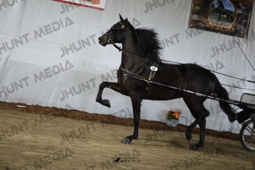 JHM_2052