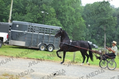 JHM_0874