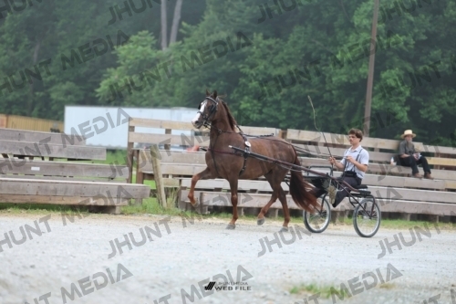 JHM_0382