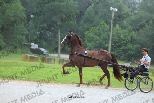 JHM_0385