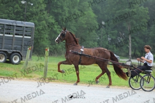 JHM_0386