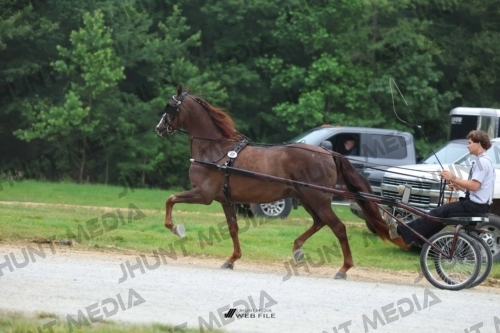 JHM_0389