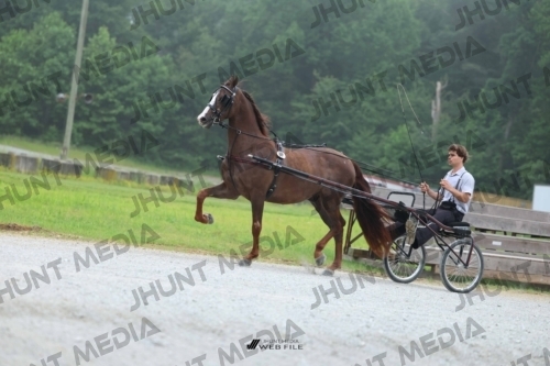 JHM_0393