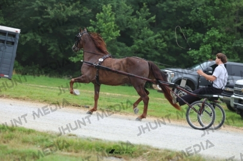 JHM_0397