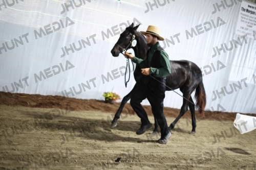 JHM_2075
